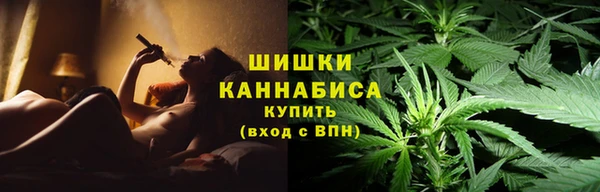 ГАЛЛЮЦИНОГЕННЫЕ ГРИБЫ Каменногорск