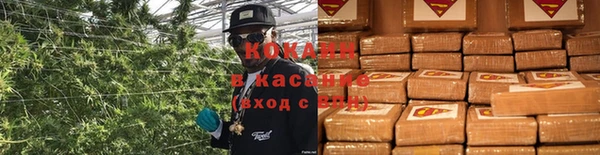 ГАЛЛЮЦИНОГЕННЫЕ ГРИБЫ Каменногорск
