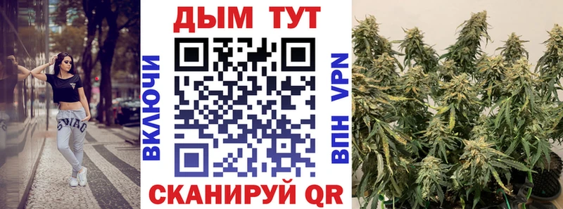 Каннабис план  Купить где  Пролетарск 